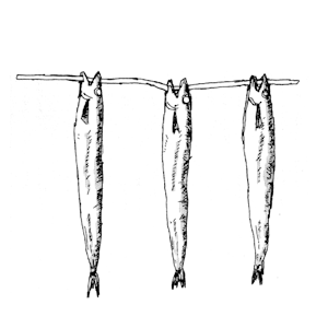 Site hosted by Neocities